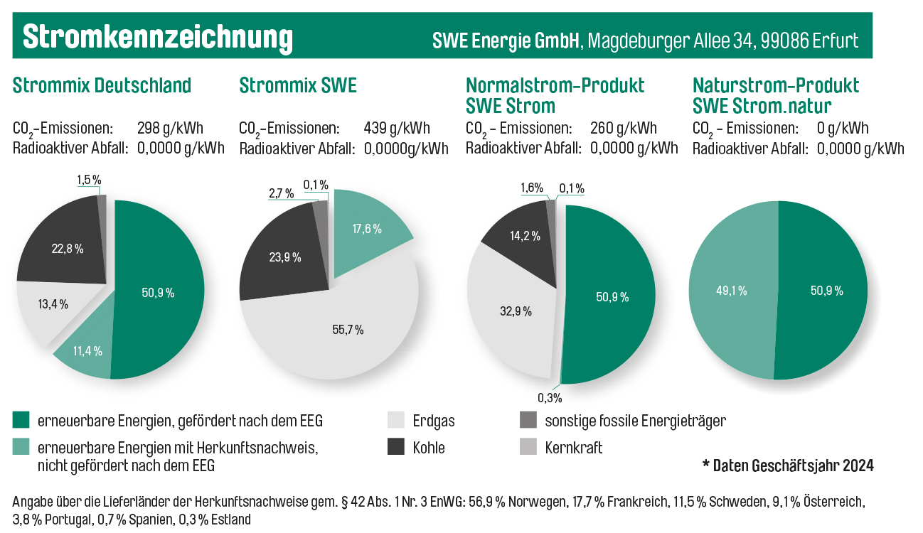 stromkennzeichnung_aktuell.jpg